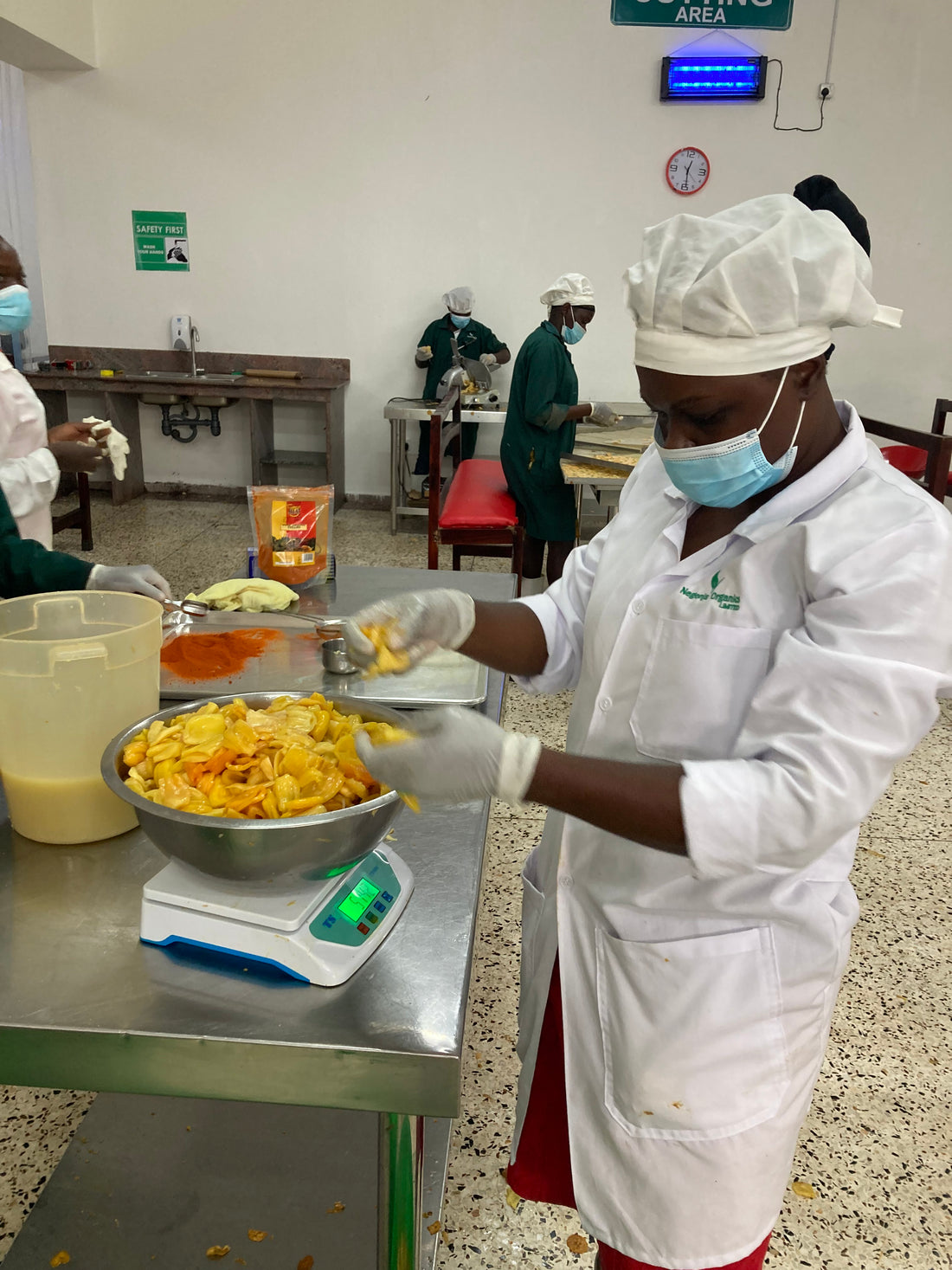 Meet our Production Team: Checking back with Josephine!