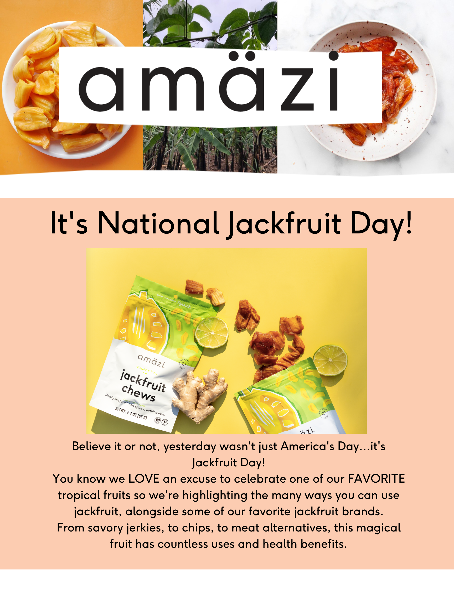 Celebrate National Jackfruit Day! – Amazi Foods