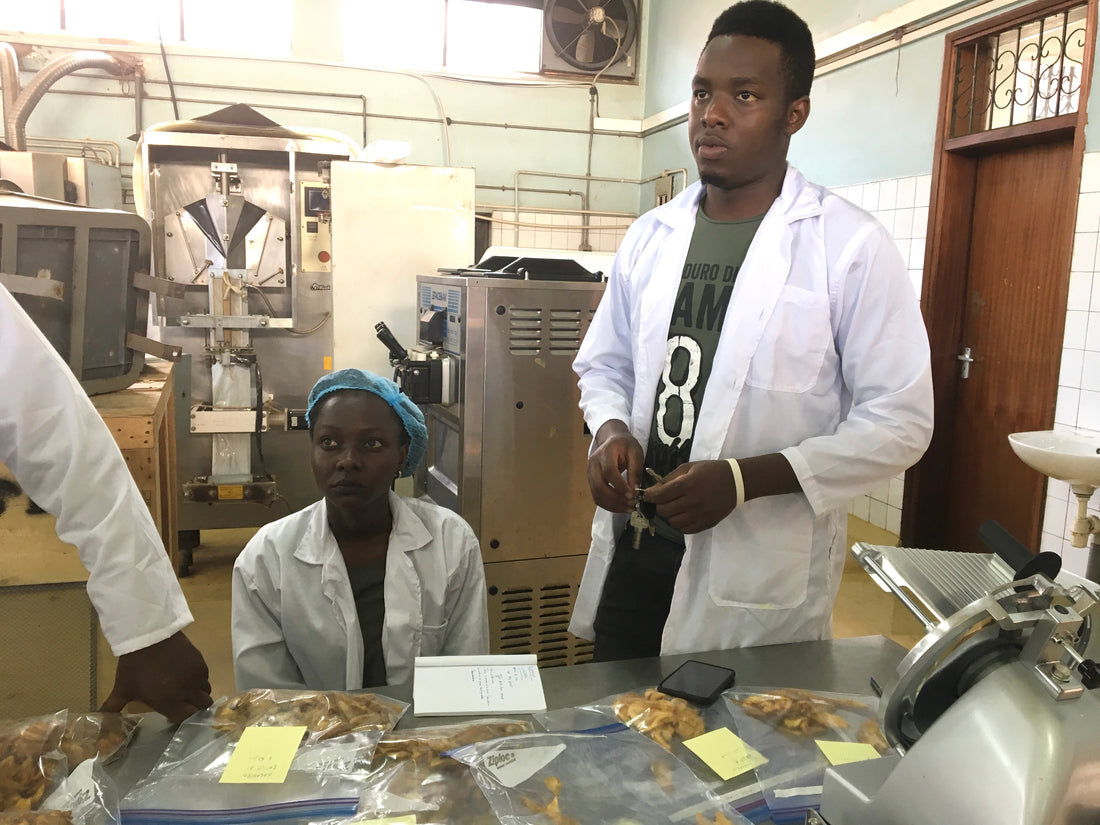 Meet Our Production Managers: Charlotte and Joel!