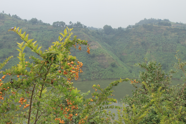 Farmer Feature: Nkesiga Jane