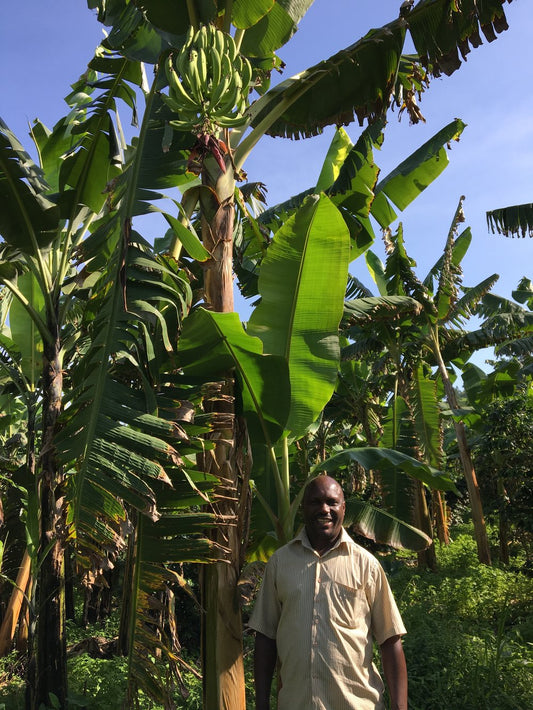 Farmer Feature: Nkesiga James
